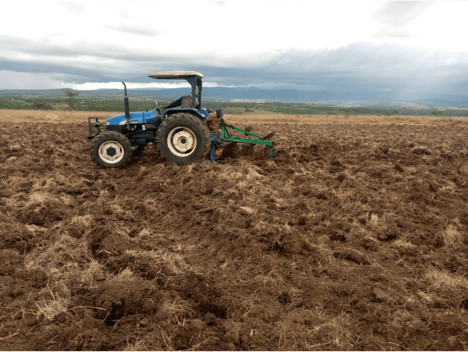 Land-preparation-espring-farm