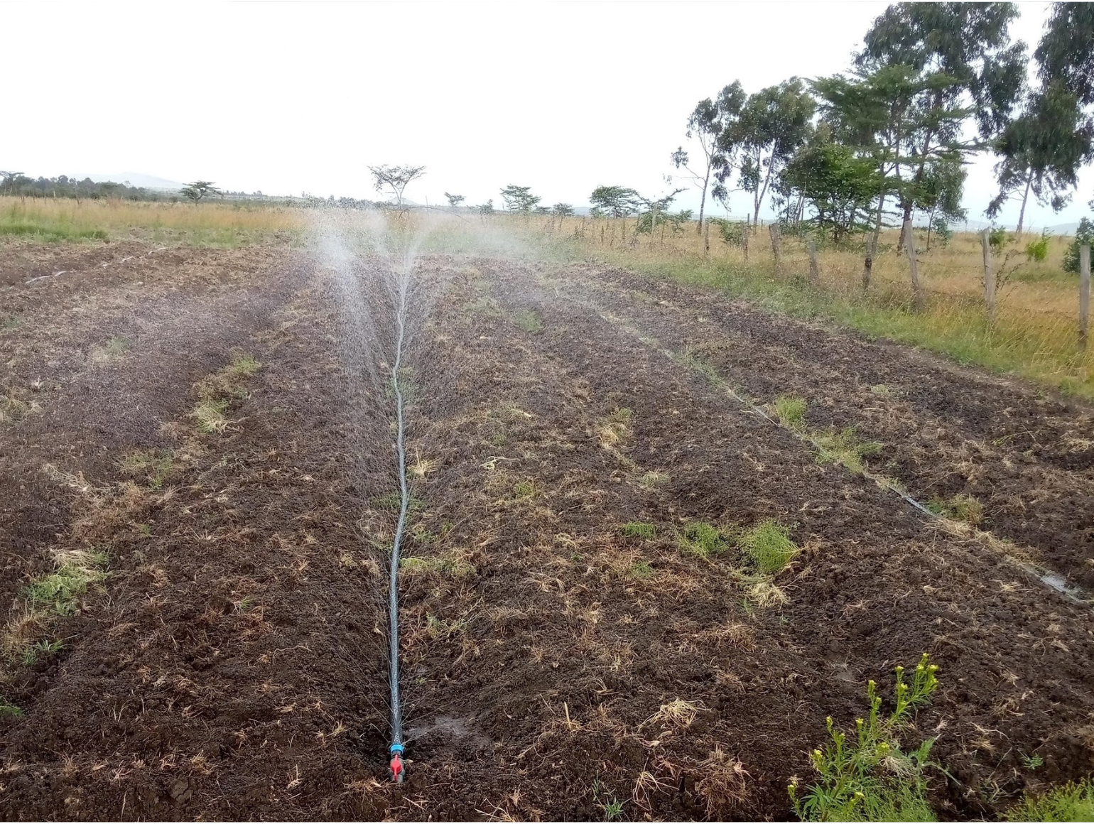 farm irrigation