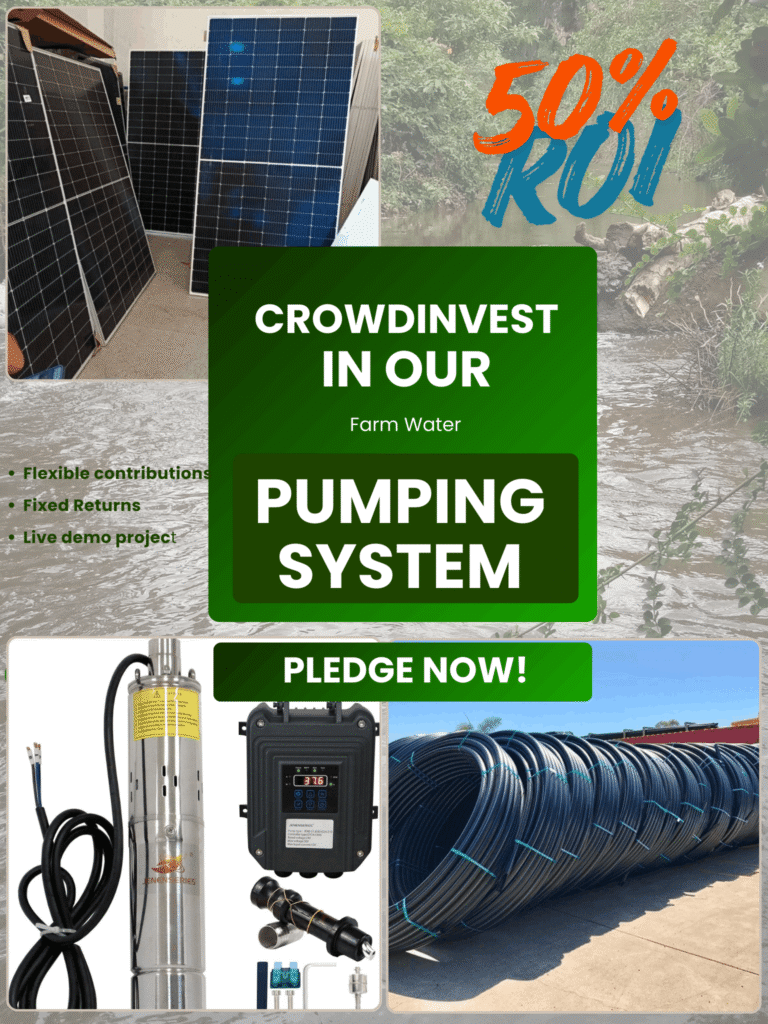 The Ngobit River Solar Irrigation Expansion