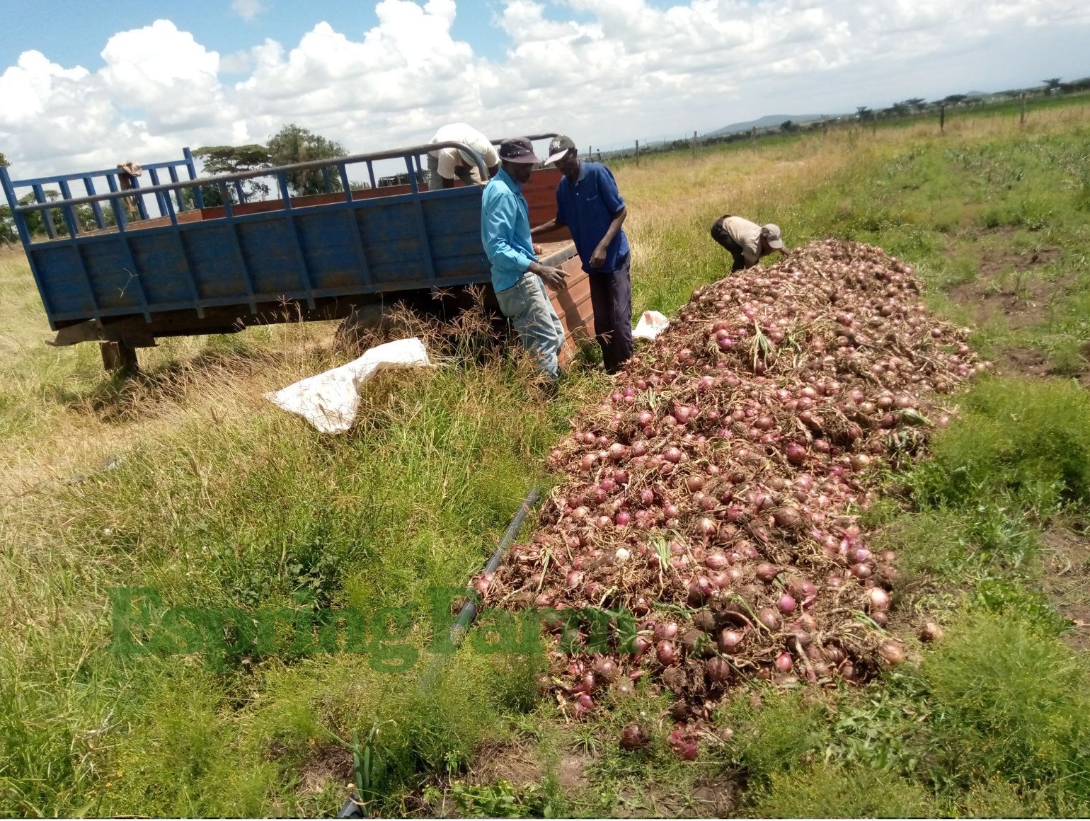 Espring Farm Gallery (10)