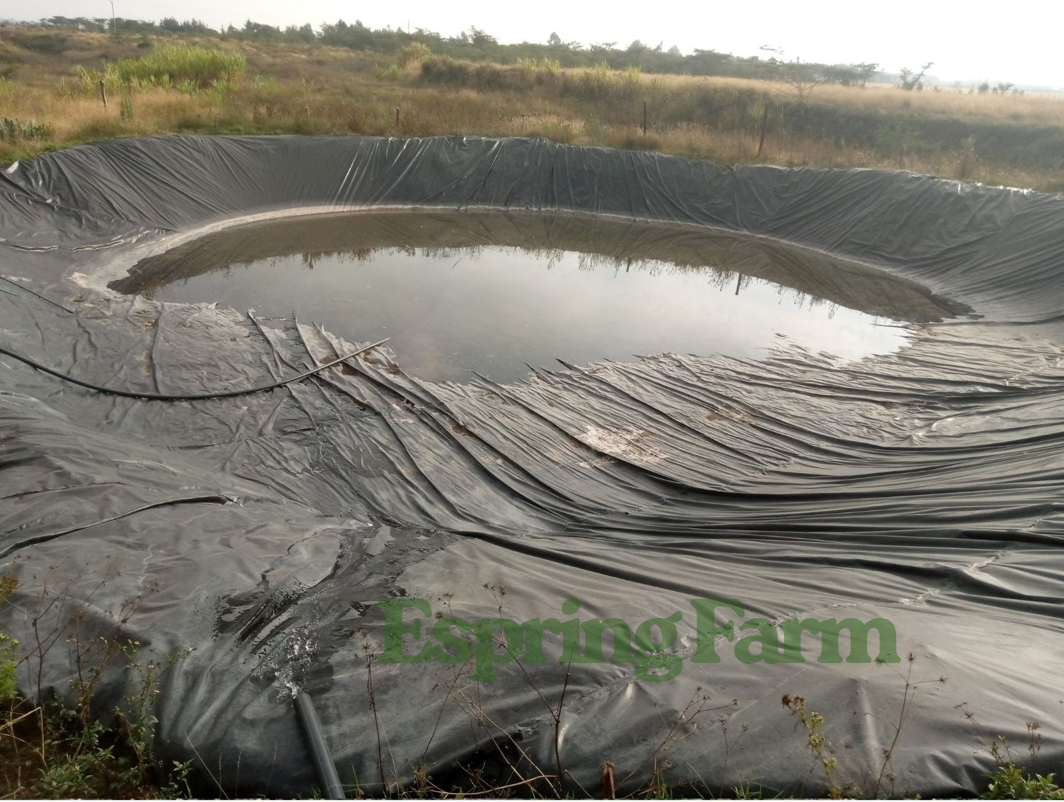 Espring Farm Gallery (11)