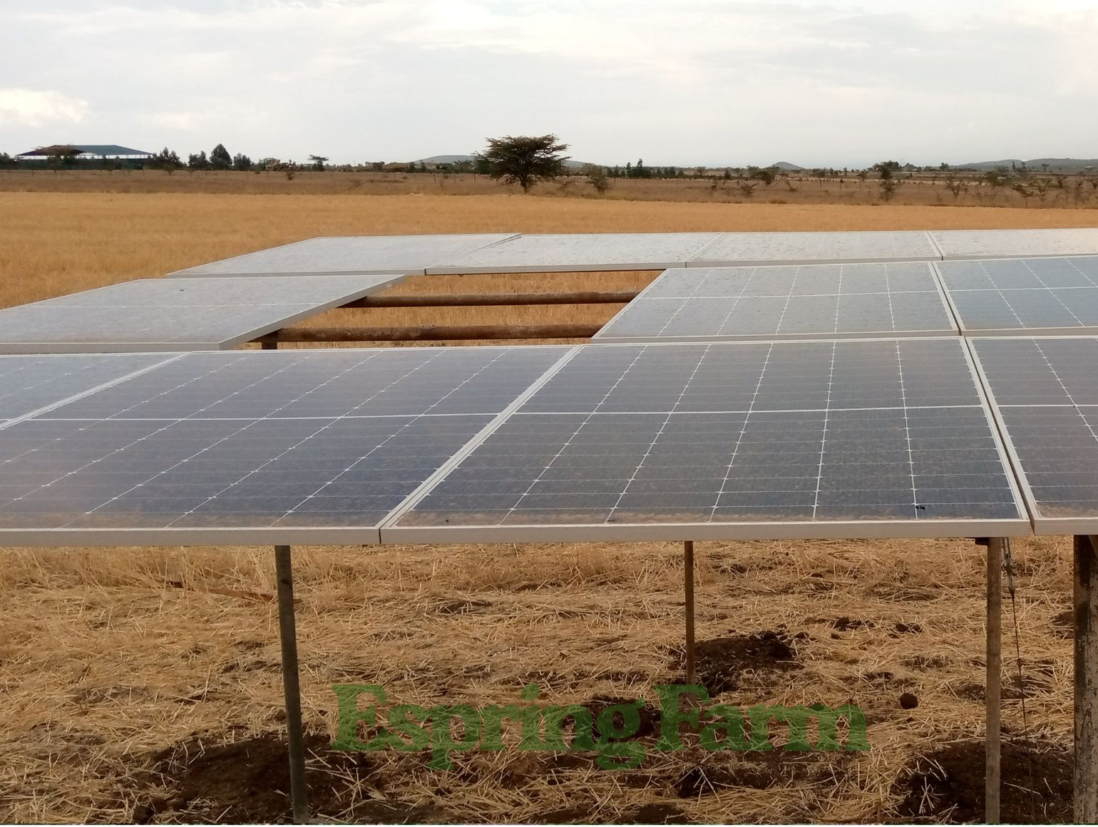 Espring Farm Gallery (18)