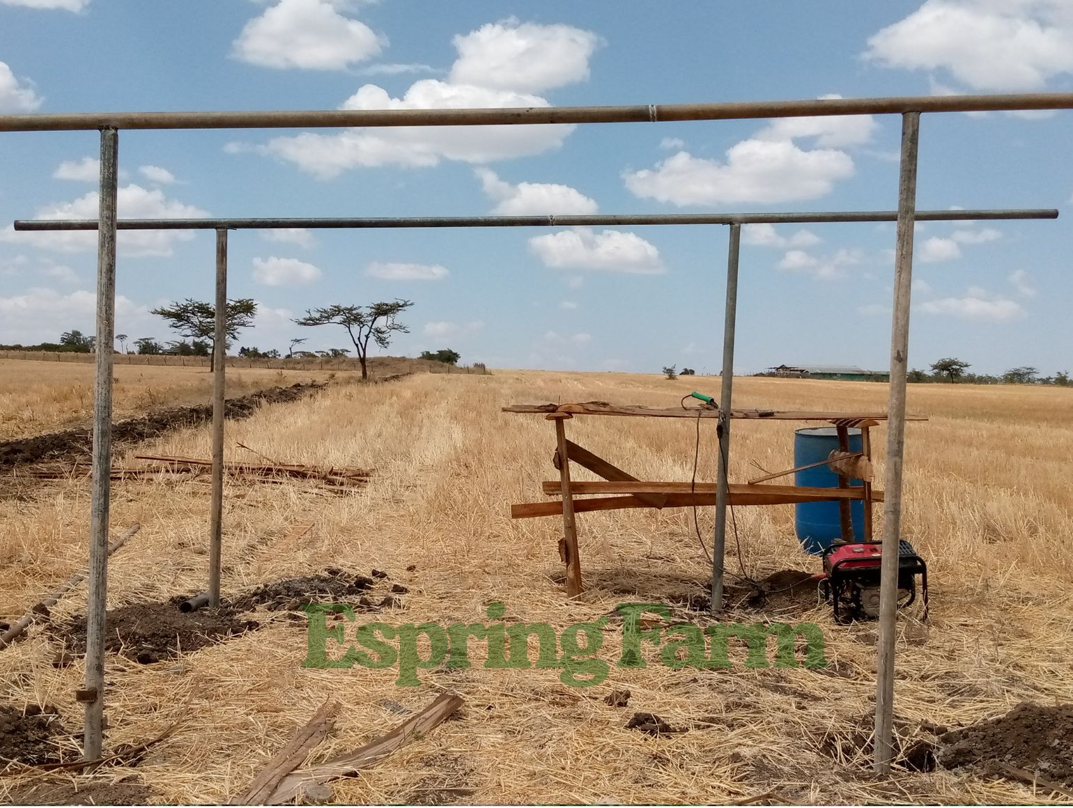 Espring Farm Gallery (2)