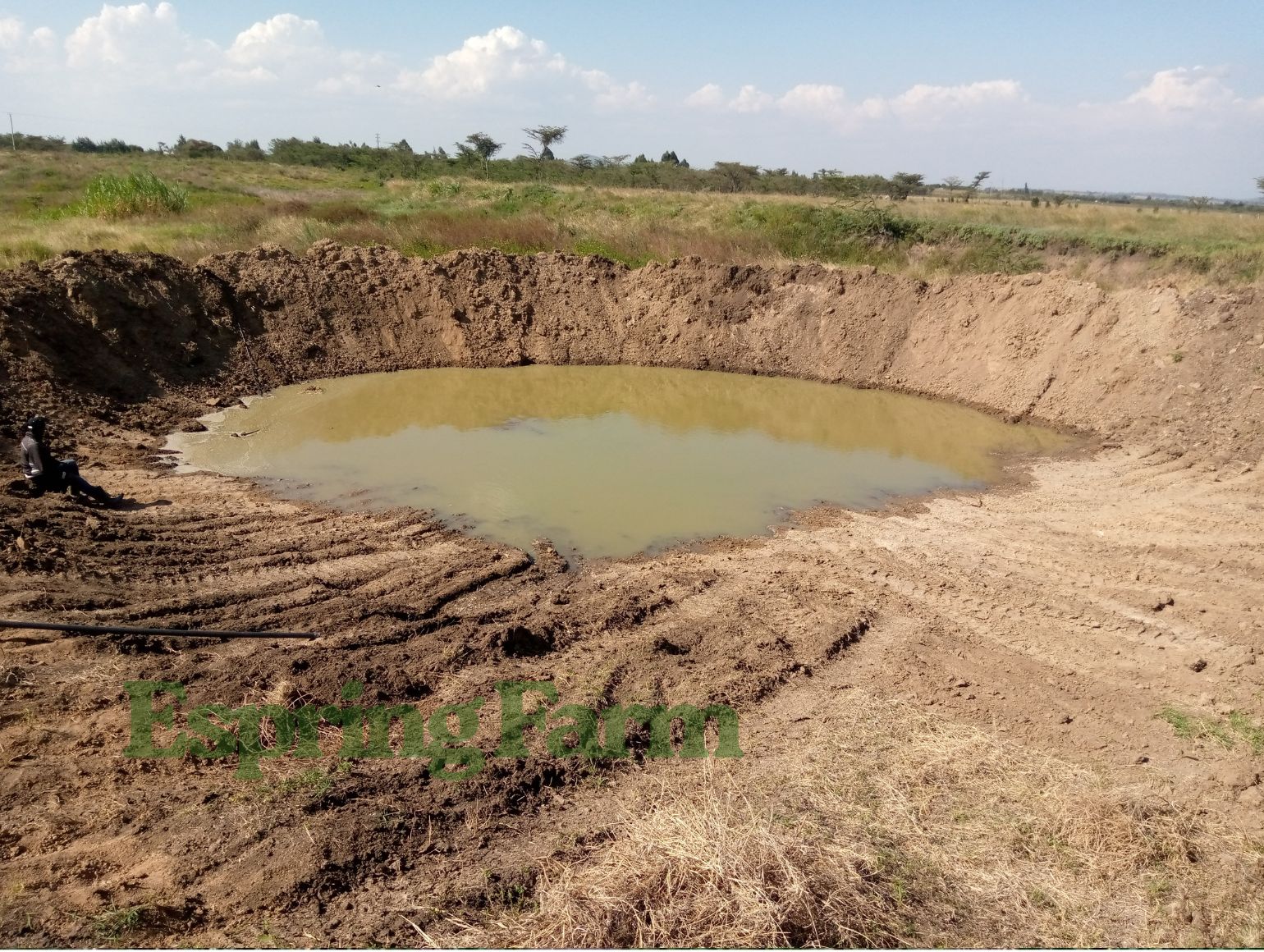 Espring Farm Gallery (9)