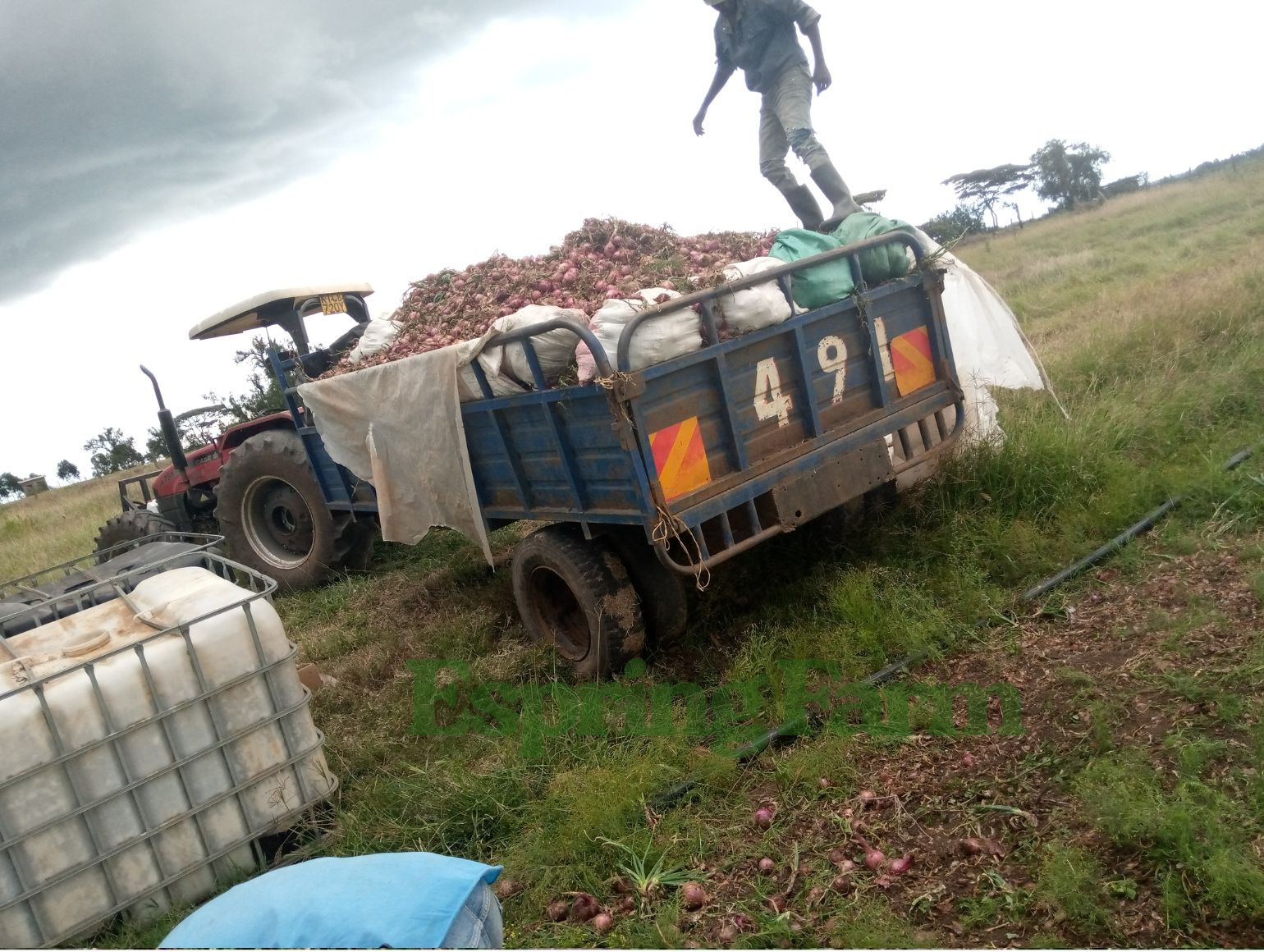 Espring Farm Gallery